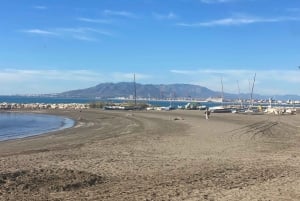 Malaga: Premium Guided Bike Tour