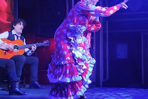 Málaga: PREMIUM-TAPAS-TOUR mit Paella, Tapas, Weingut & Flamenco