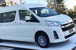 Malaga: Private 1-Way Transfer from or to AGP Airport