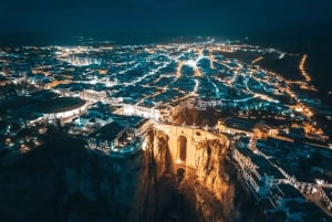 Malaga: Private 1-Way Transfer from or to AGP Airport