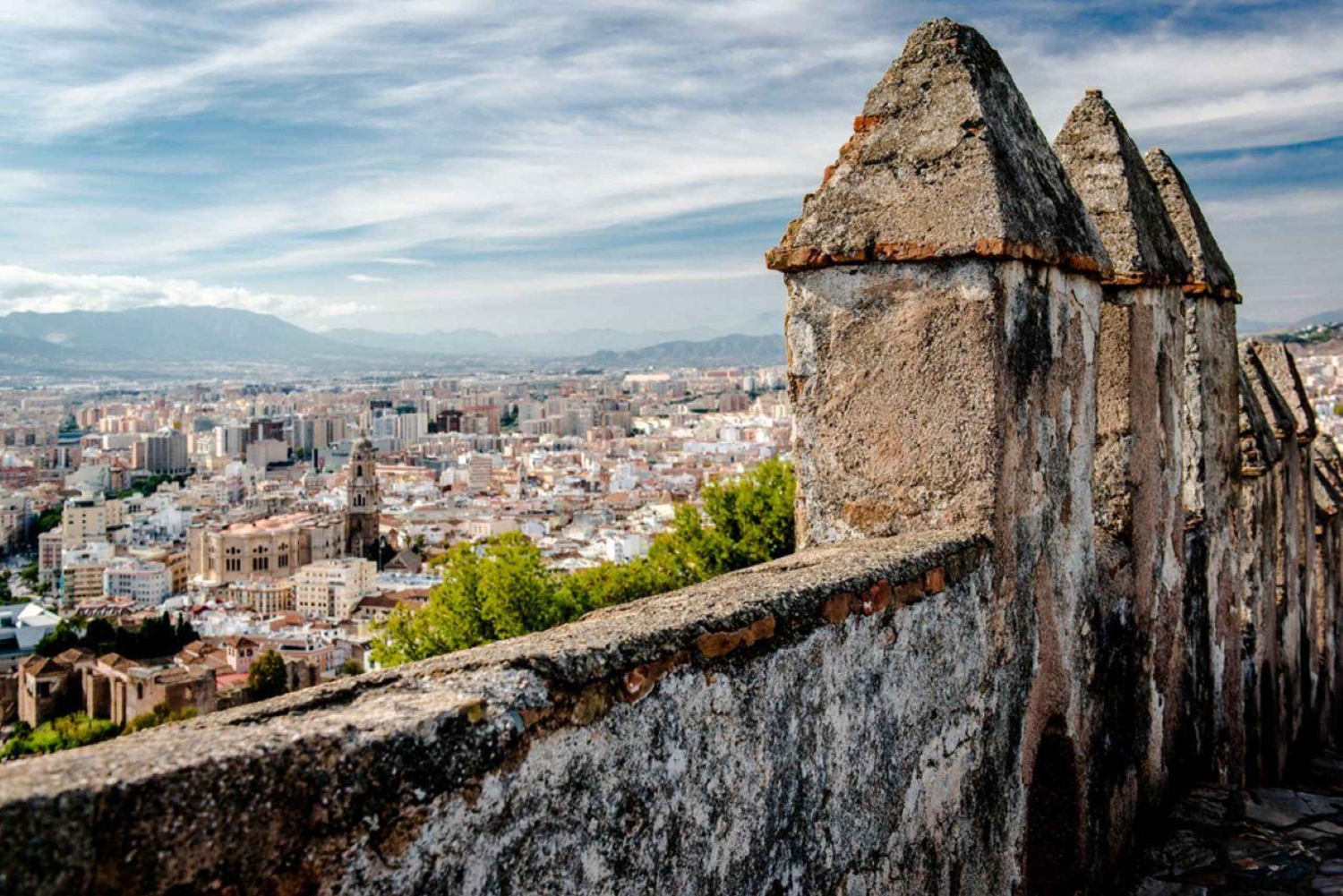 Malaga: Privat 2-timers eller halvdagstur med sightseeing