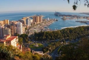 Malaga: privat sightseeing på 2 timmar eller halvdagsutflykt