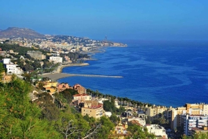 Malaga: Privat 2-timers eller halvdagstur med sightseeing