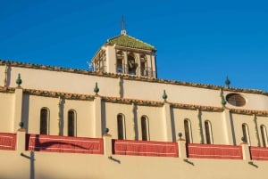 Malaga: prywatna wycieczka po architekturze z lokalnym ekspertem