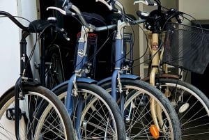 Málaga: Privé fietsverhuur