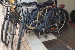 Malaga: Private Bike Rental