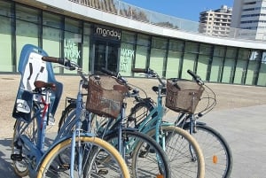Malaga: Private Bike Rental