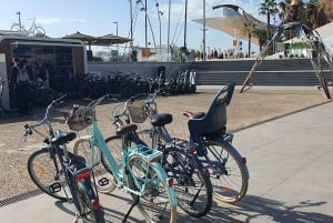 Malaga: Private Bike Rental