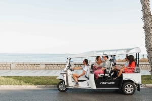 Malaga: Private City Tour by Eco Tuk Tuk