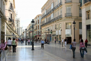 Malaga: Private Plaza de la Merced, City Center, & Port Tour