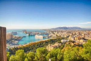 Malaga: Private custom Walking tour with a local guide