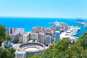 Málaga: Excursão a pé particular e personalizada com um guia local