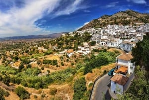 Malaga: Privater Tagesausflug nach Mijas