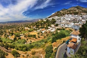 Malaga: Private Day Trip to Mijas