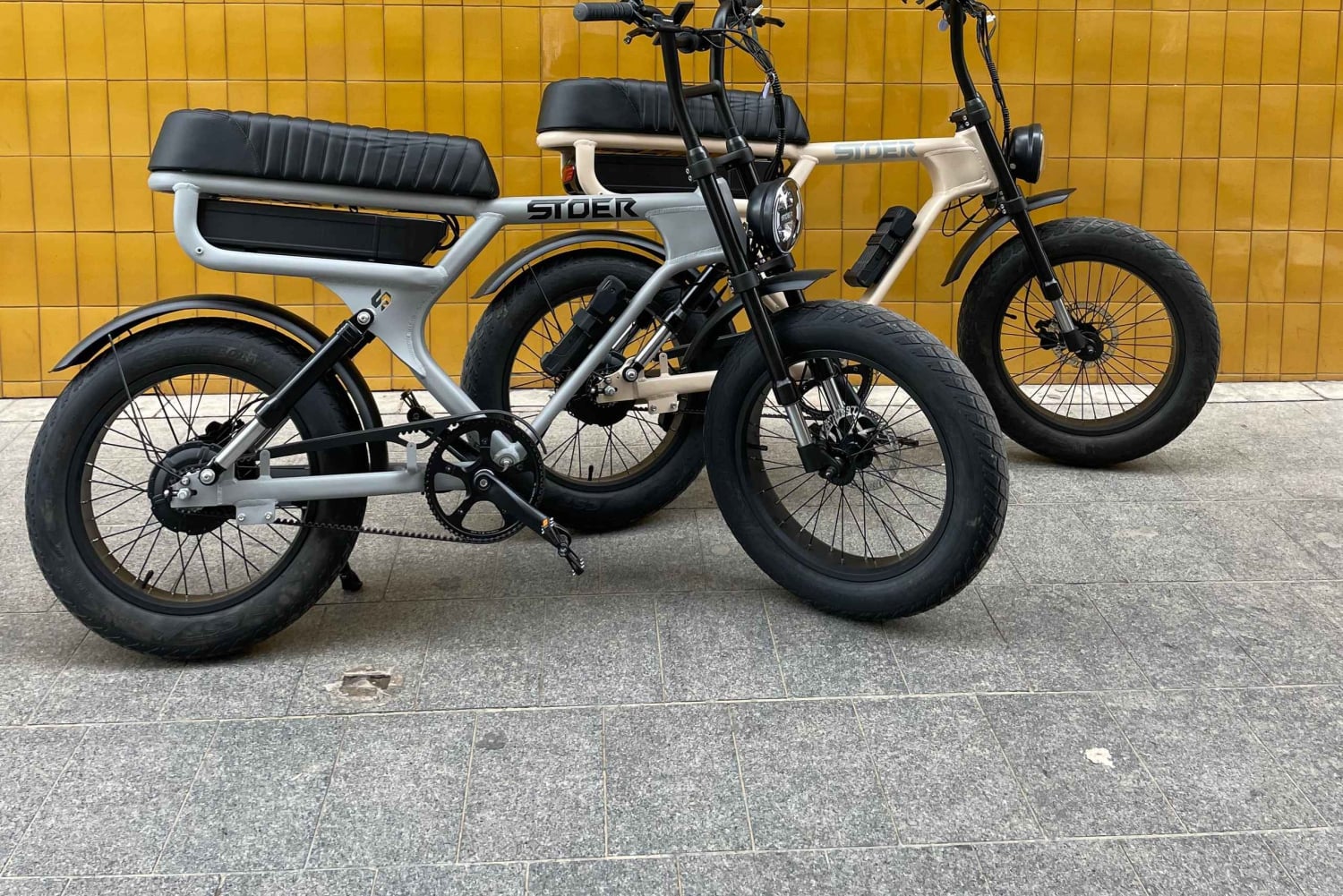 Málaga: Private Electric Fatbike Tour with Guide