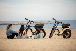 Málaga: Private Electric Fatbike Tour with Guide