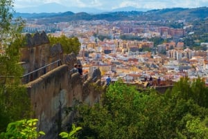 Malaga: tour privato di storia esclusiva con un esperto locale
