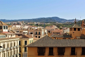 Malaga: tour privato di storia esclusiva con un esperto locale