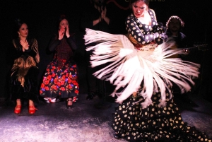 Malaga Private Gastronomic & Cultural Tour: Tapas & Flamenco