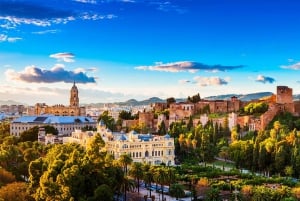 Málaga: Privat guidet tur til Gibralfaro Lookout og Alcazaba