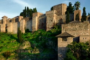 Málaga: Privat guidet tur til Gibralfaro Lookout og Alcazaba