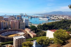Málaga: Privat guidet tur til Gibralfaro Lookout og Alcazaba