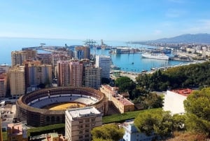 Málaga: Private Gibralfaro Lookout and Alcazaba Guided Tour