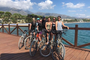 Malaga: Private Guided Bike Tour