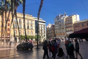 Malaga: Yksityinen opastettu pyöräretki