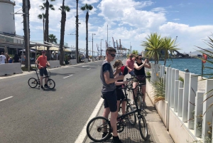 Malaga: Private Guided Bike Tour