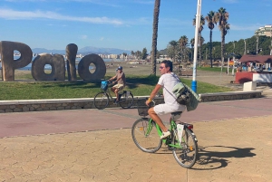 Malaga: Private Guided Bike Tour