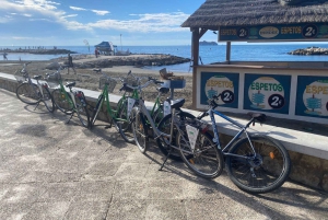 Malaga: Private Guided Bike Tour