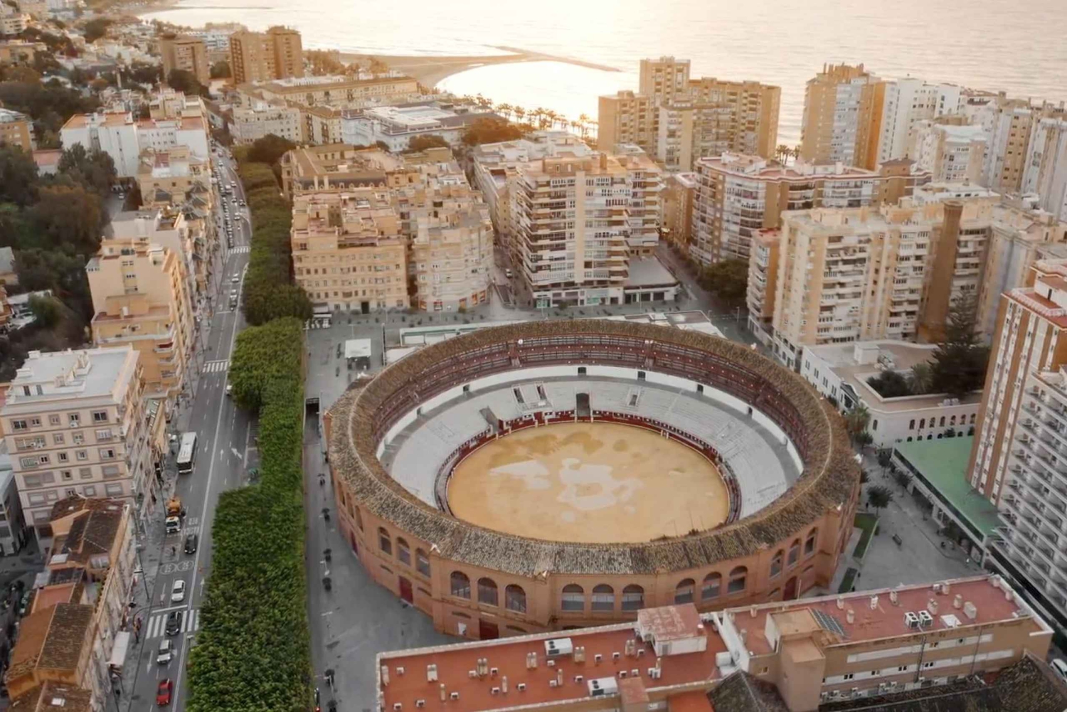 Malaga: Private Guided Tour of the Bullring and Immersive Museum