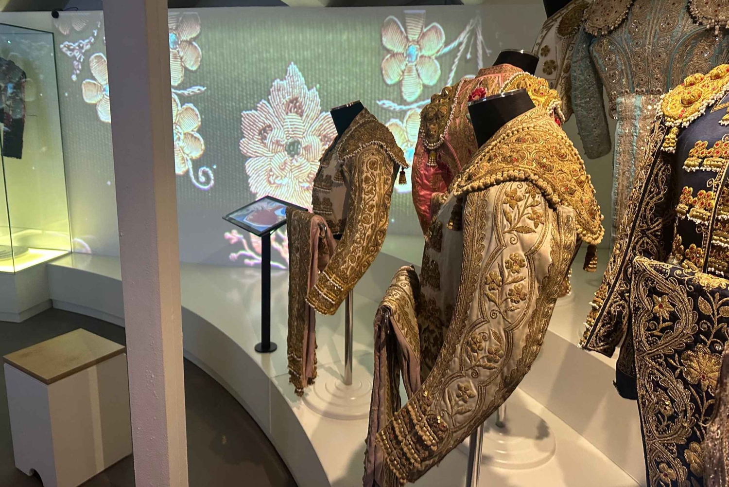 Malaga: Private Guided Tour of the Bullring and Immersive Museum