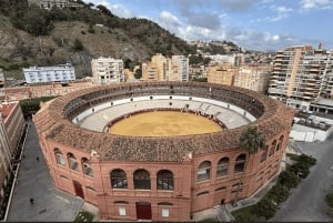 Malaga: Private Guided Tour of the Bullring and Immersive Museum