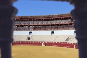 Malaga: Private Guided Tour of the Bullring and Immersive Museum