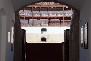 Malaga: Private Guided Tour of the Bullring and Immersive Museum