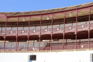 Malaga: Private Guided Tour of the Bullring and Immersive Museum