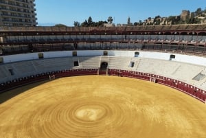Malaga: Private Guided Tour of the Bullring and Immersive Museum