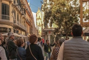 Málaga: Private guided walking tour in the historic center