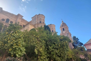 Málaga: Private guided walking tour in the historic center