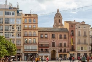 Málaga: Private guided walking tour in the historic center