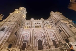 Málaga: Private guided walking tour in the historic center