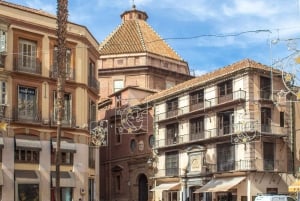 Málaga: Private guided walking tour in the historic center