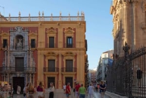 Málaga: Private guided walking tour in the historic center