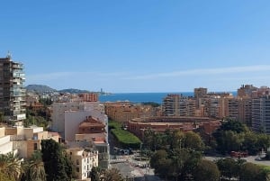 Málaga: Private guided walking tour in the historic center