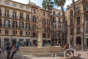 Málaga: Private guided walking tour in the historic center