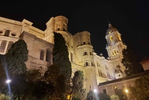 Málaga: Private guided walking tour in the historic center