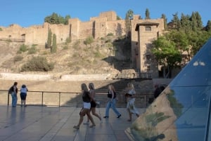 Málaga: Private guided walking tour in the historic center