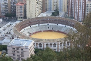 Malaga: Private History & Highlights walking tour